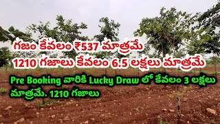 గజం కేవలం ₹537 మాత్రమే || 1210 గజాలు కేవలం  6.5  లక్షలు మాత్రమే ||