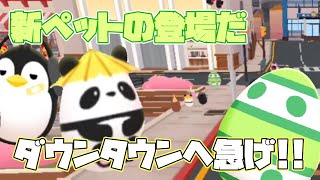 一緒に遊ぼうvol.59【このペット可愛すぎます】