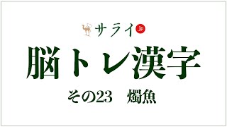 【脳トレ漢字23】鰰・鱩・雷魚・燭魚は全部同じ読み方。「燭魚」、何と読む？