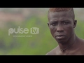 Dambe, Traditional Hausa Boxing: Inside The Brutal Life Of A Young Fighter | Pulse TV