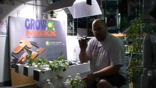 Aeroponic growing made easy. No more media or net cups! Plant Maxx Pucks to the rescue!