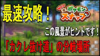 【一分で分かる】カクレ抜け道への分岐ルートの場所【Newポケモンスナップ】