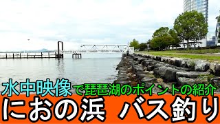 におの浜のバス釣りを水中映像から攻略！琵琶湖で人気のバス釣りポイントの紹介