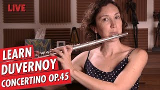 Just Practicing with Amelie | Concertino Op.45 - DuVernoy