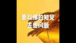 201709 要以佛的知见去想问题23627