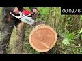 greencut gs680x chainsaw 68cc 3.9 cv