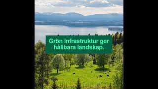 Grön infrastruktur för hållbara landskap | Naturvårdsverket