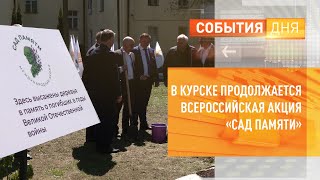 В Курске продолжается Всероссийская акция «Сад памяти»