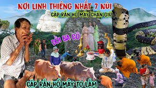 Chấn Động xuất hiện nơi Linh Thiêng Nhất 7 Núi có Cặp Rắn Hổ Mây khủng ai cũng phải sợ khi nghe