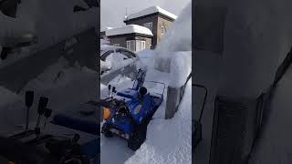 弊社の専務　TAさん！！　YAMAHA除雪機！！北海道札幌市#shorts