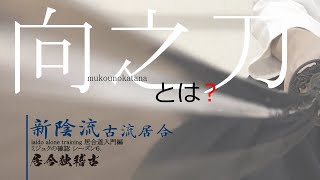 【新陰流居合】そもそも「向之刀」て何ですか？  shinkageryu iai alone training