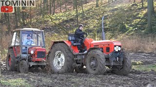 Tractor race - Traktoriáda Nechálov 2022