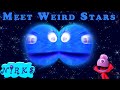 Meet Weird Stars – Meet the Stars Part 3 – A song about space/astronomy - for kids by The Nirks™