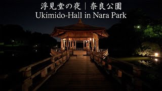 奈良の観光スポット「浮見堂の夜」｜奈良公園：Ukimido-Hall in Nara Park