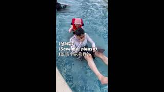 아빠에게 수영 가르치기 教爸爸如何游泳 (Teaching Dad how to Swim) #Shorts