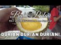 Penang Durian Season 2023 has begun, at Lim Brothers Balik Pulau, and a durian buffet at KOMTAR!