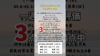 【チャンピオンズカップ2024】出走馬全頭診断❷ #競馬予想 #g1 #チャンピオンズカップ #サンライズジパング