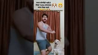 घरात कोणीही नाही हे जेव्हा Teddu सांगायला आला तेव्हा नाचो...... 😛😆😂🤣💃