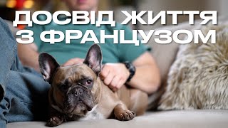 Французький Бульдог, що змінив наше життя