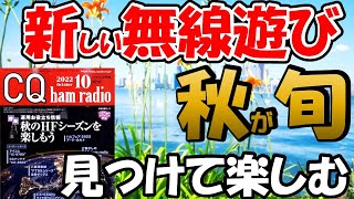 【気分一新】秋の模様替え、アマチュア無線の楽しみ方、色々と模索すると、面白い楽しみ方あるかもしれませんよ。ＤＸ、移動運用、アンテナ実験　色々な楽しみ方、組み合わせてください。ＣＱ誌２０２２年１０月号