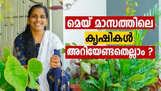 മെയ്  മാസത്തിലെ കൃഷികൾ അറിയേണ്ടതെല്ലാം ? What to Plant in May Month ? Mini's LifeStyle