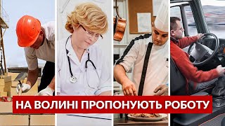 💰Волинян КЛИЧУТЬ на роботу: які є вакансії і скільки готові платити