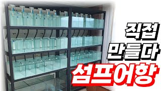 구피 플레코 키울때 가장 효율적인 섬프어항 직접 만들었습니다.