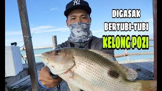 DIGASAK PENGHUNI-PENGHUNI  KELONG POZI