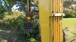 Mini Excavator Pulling a Tree Line with the Rake