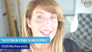 NEITHER FISH NOR FOWL: English Idiom