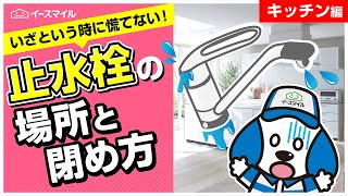 【キッチン編】水漏れ早く止めたい！いざという時に慌てない！止水栓の場所と閉め方