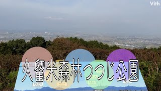 福岡・御井町にある町を離れて過ごせる静かな公園【久留米森林つつじ公園】