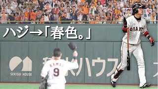 亀井善行 ハジ→『春色。』