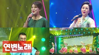 연변노래 세곡 연속듣기 延边歌曲连听