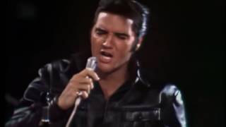 Elvis Presley - Heartbreak Hotel, Hound Dog & All Sook Up 1968 Comeback