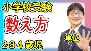 【小学校受験1-37】数え方 かぞえかた単位 レベル1【幼児教育演習問題】