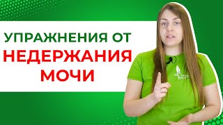 Недержание мочи - что делать? Полезные упражнения при опущении внутренних органов