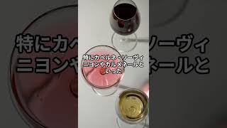 チリワイン #wine #ワイン #winelover #ワインのある暮らし