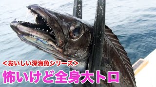 【キバとトゲ】全身凶器で全身大トロの深海魚が美味！