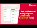 How to Filter and Group Angular MultiSelect Dropdown Items