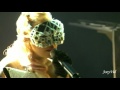 Lady Gaga - Paparazzi(VFESTIVAL) Best Performance HQ