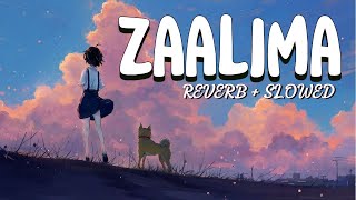 Zaalima (Slowed + Reverb) | Arijit Singh, Harshdeep Kaur | Raees