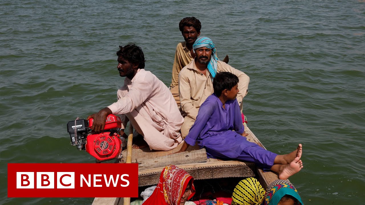 Pakistan Floods: More Than 1300 Dead And 33 Million Affected - BBC News ...