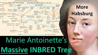 Marie Antoinette's INBRED FAMILY TREE- Her Habsburg Lineage Explained!