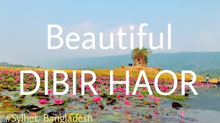 A trip to Dibir Haor