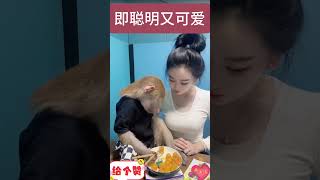 #聪明可爱#用筷子#搞笑短視頻合集 #开心一刻#shorts #shortvideo #short #s