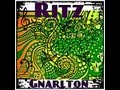 Ritz Gnarlton, One Way to Survive (Promo Video) Proudly Presented by Hip Cat Records