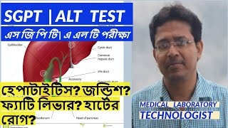 এস জি পি টি পরীক্ষা (রক্তের) SGPT/ALT Blood Test, লিভারের স্বাস্থ্য পরীক্ষা Test your Liver