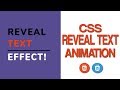 CSS Text Reveal Animation - Text Reveal Effect