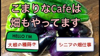 こまりなCafeは畑もやってます　＃シニアカフェ開業　＃家庭菜園　＃野菜ソムリエカフェ